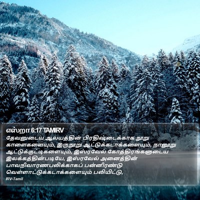 எஸ்றா 6:17 TAMIRV Bible Verse Image