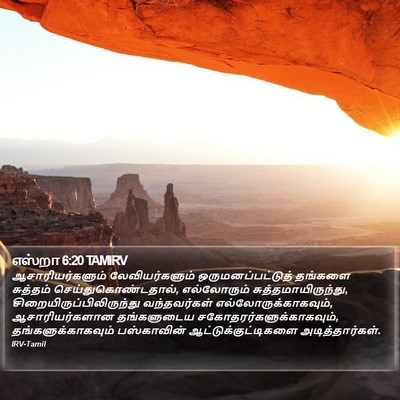 எஸ்றா 6:20 TAMIRV Bible Verse Image