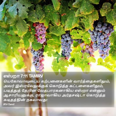 எஸ்றா 7:11 TAMIRV Bible Verse Image