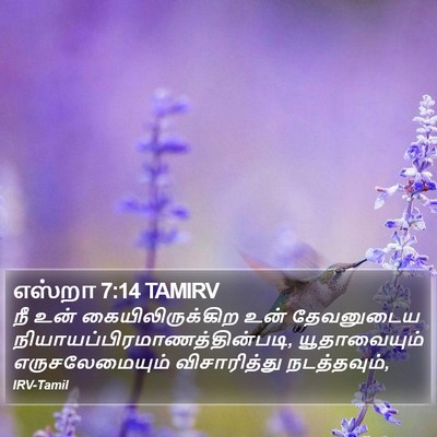 எஸ்றா 7:14 TAMIRV Bible Verse Image