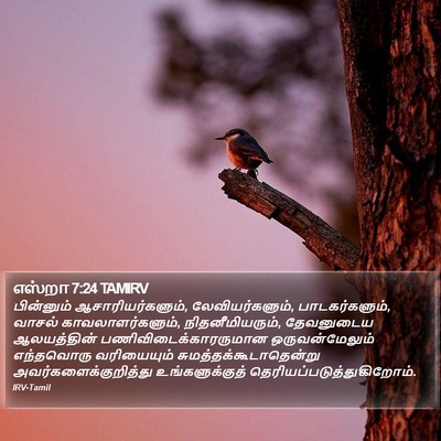 எஸ்றா 7:24 TAMIRV Bible Verse Image