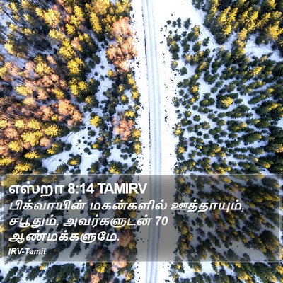 எஸ்றா 8:14 TAMIRV Bible Verse Image
