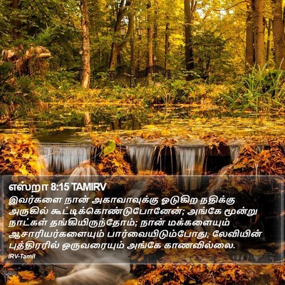 எஸ்றா 8:15 TAMIRV Bible Verse Image