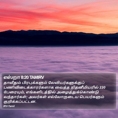 எஸ்றா 8:20 TAMIRV Bible Verse Image
