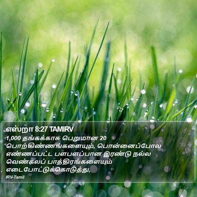 எஸ்றா 8:27 TAMIRV Bible Verse Image