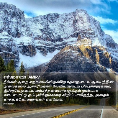 எஸ்றா 8:29 TAMIRV Bible Verse Image