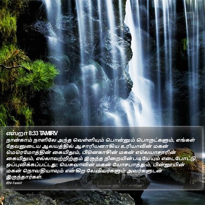 எஸ்றா 8:33 TAMIRV Bible Verse Image