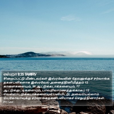 எஸ்றா 8:35 TAMIRV Bible Verse Image