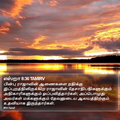 எஸ்றா 8:36 TAMIRV Bible Verse Image