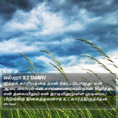 எஸ்றா 9:3 TAMIRV Bible Verse Image