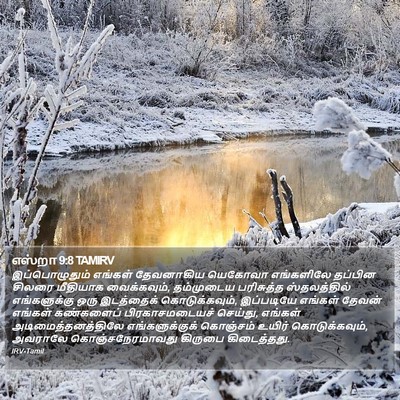 எஸ்றா 9:8 TAMIRV Bible Verse Image