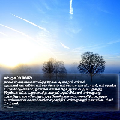 எஸ்றா 9:9 TAMIRV Bible Verse Image