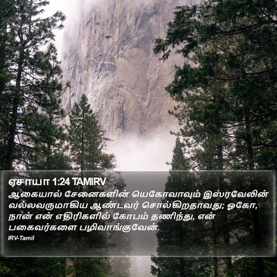 ஏசாயா 1:24 TAMIRV Bible Verse Image