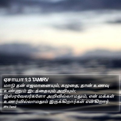 ஏசாயா 1:3 TAMIRV Bible Verse Image