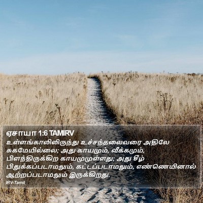 ஏசாயா 1:6 TAMIRV Bible Verse Image