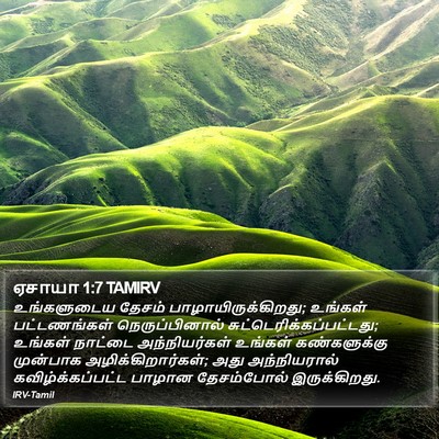 ஏசாயா 1:7 TAMIRV Bible Verse Image