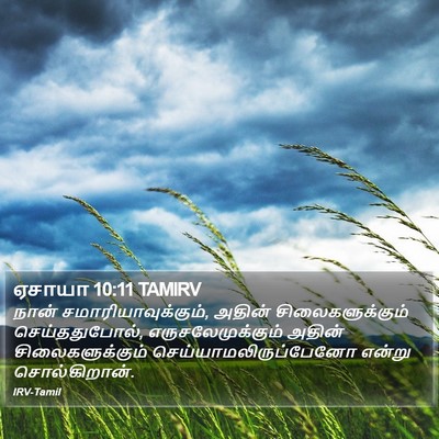 ஏசாயா 10:11 TAMIRV Bible Verse Image