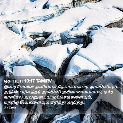 ஏசாயா 10:17 TAMIRV Bible Verse Image