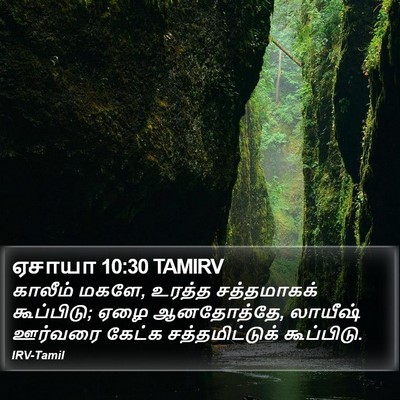 ஏசாயா 10:30 TAMIRV Bible Verse Image