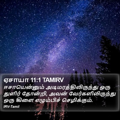 ஏசாயா 11:1 TAMIRV Bible Verse Image