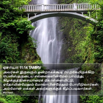 ஏசாயா 11:14 TAMIRV Bible Verse Image