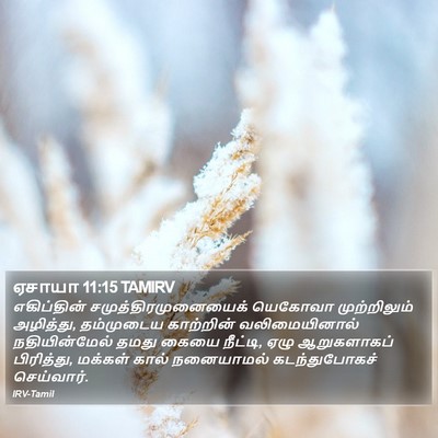 ஏசாயா 11:15 TAMIRV Bible Verse Image
