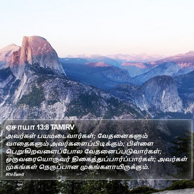 ஏசாயா 13:8 TAMIRV Bible Verse Image