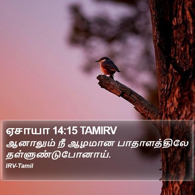 ஏசாயா 14:15 TAMIRV Bible Verse Image