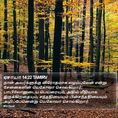 ஏசாயா 14:22 TAMIRV Bible Verse Image
