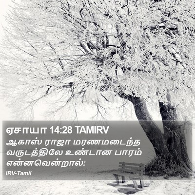 ஏசாயா 14:28 TAMIRV Bible Verse Image