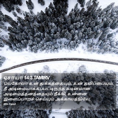 ஏசாயா 14:3 TAMIRV Bible Verse Image
