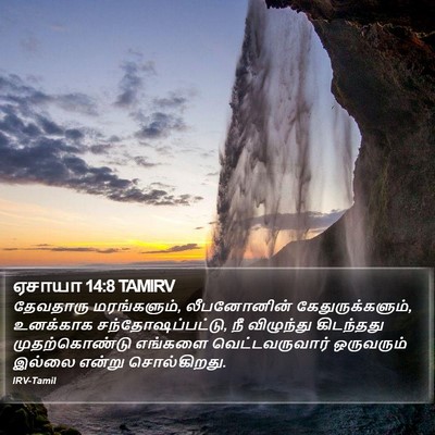 ஏசாயா 14:8 TAMIRV Bible Verse Image