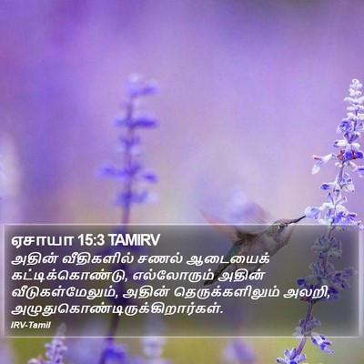 ஏசாயா 15:3 TAMIRV Bible Verse Image