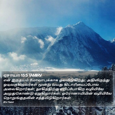 ஏசாயா 15:5 TAMIRV Bible Verse Image