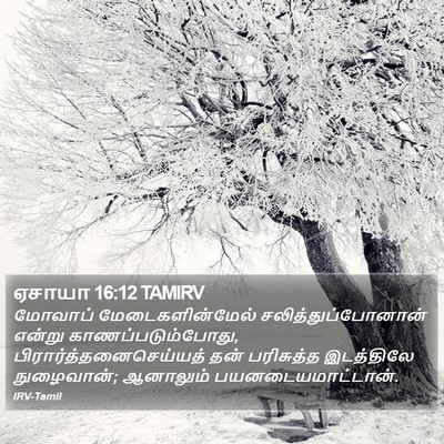 ஏசாயா 16:12 TAMIRV Bible Verse Image