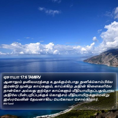 ஏசாயா 17:6 TAMIRV Bible Verse Image
