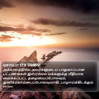 ஏசாயா 17:9 TAMIRV Bible Verse Image