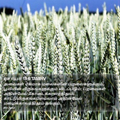 ஏசாயா 18:6 TAMIRV Bible Verse Image