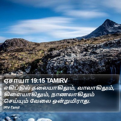 ஏசாயா 19:15 TAMIRV Bible Verse Image
