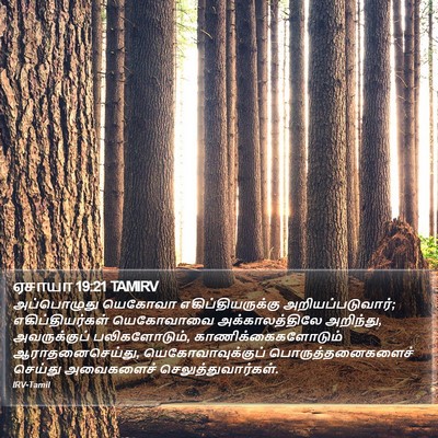 ஏசாயா 19:21 TAMIRV Bible Verse Image