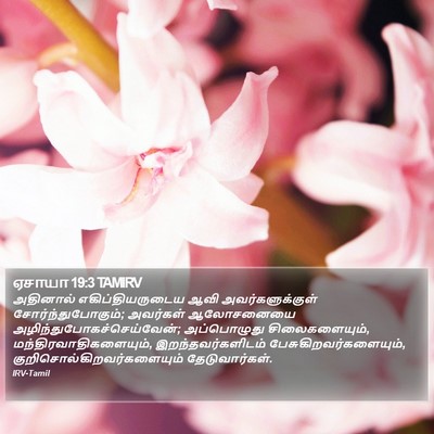 ஏசாயா 19:3 TAMIRV Bible Verse Image