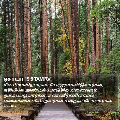 ஏசாயா 19:8 TAMIRV Bible Verse Image