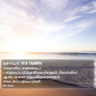 ஏசாயா 19:9 TAMIRV Bible Verse Image