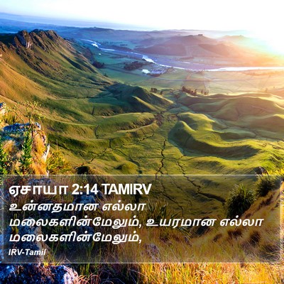 ஏசாயா 2:14 TAMIRV Bible Verse Image