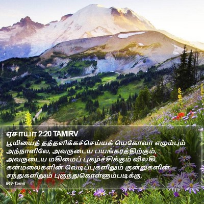 ஏசாயா 2:20 TAMIRV Bible Verse Image