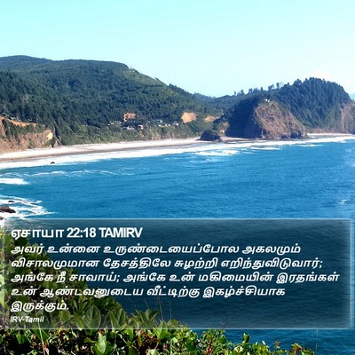 ஏசாயா 22:18 TAMIRV Bible Verse Image