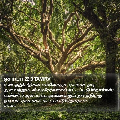 ஏசாயா 22:3 TAMIRV Bible Verse Image