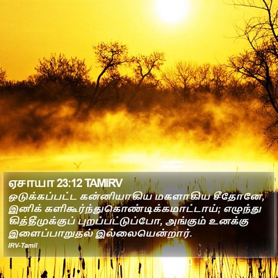 ஏசாயா 23:12 TAMIRV Bible Verse Image