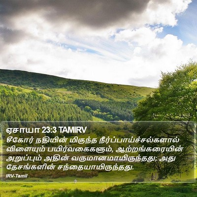 ஏசாயா 23:3 TAMIRV Bible Verse Image