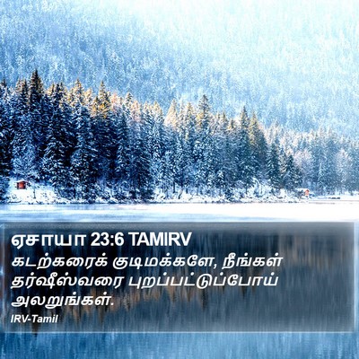 ஏசாயா 23:6 TAMIRV Bible Verse Image